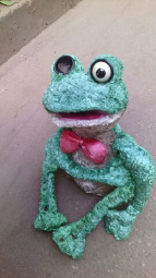 Real_photo_of_Froggy.jpg