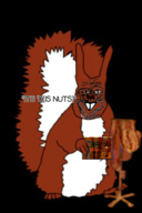 id iv red_squirrel soyjak squirreljak squirrrelson subvariant:jolly_sidson trend_squirreljakking variant:sidson // 656x984 // 460KB