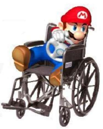 HandicappedMario.jpg