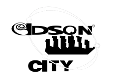 sidty alt logo 2.png