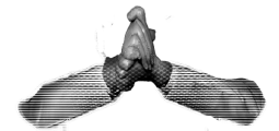 menacing hands.png
