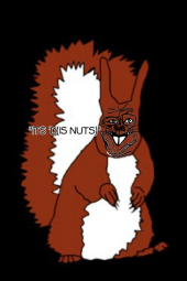 ClipboardImage.png
